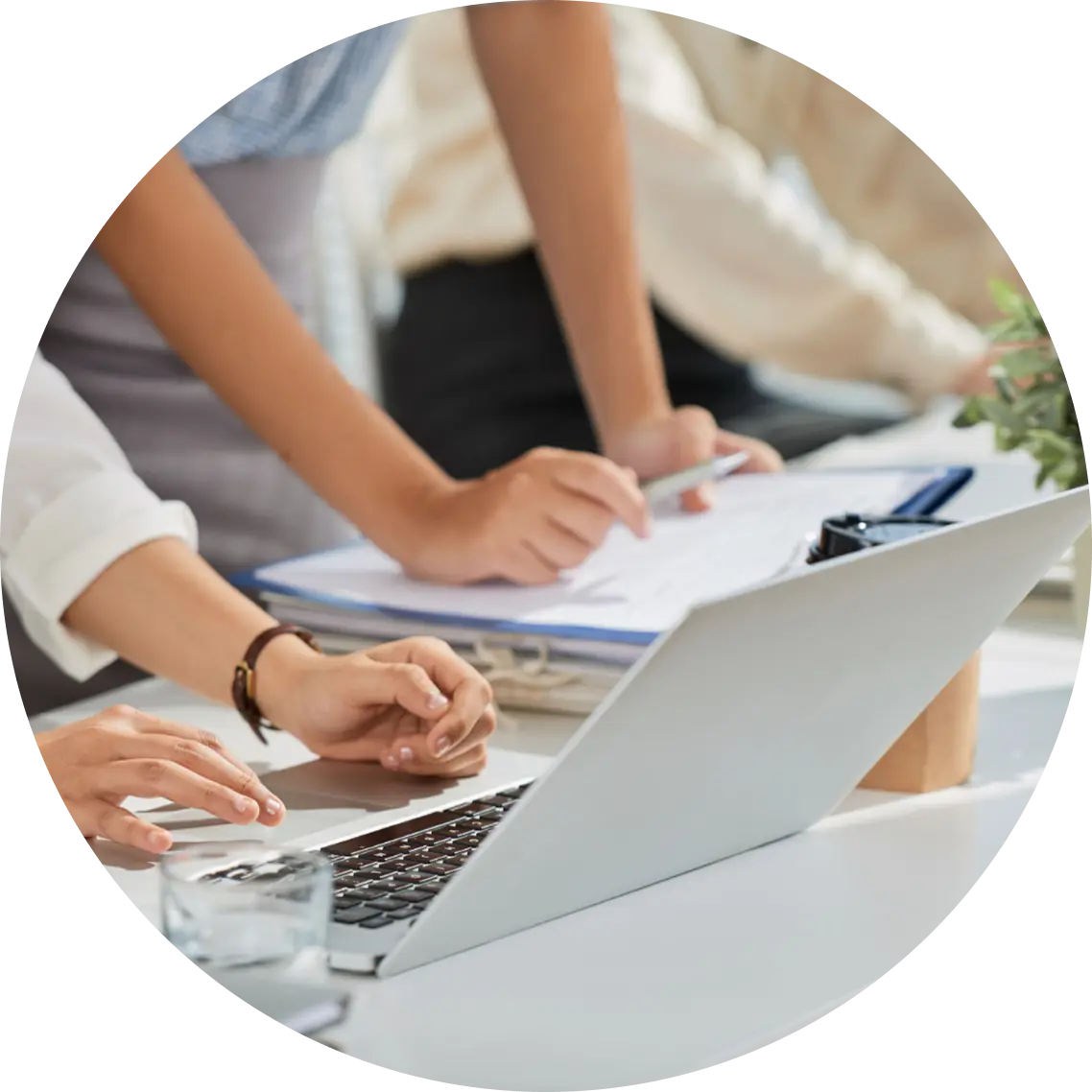美国实习机会 internship opportunity