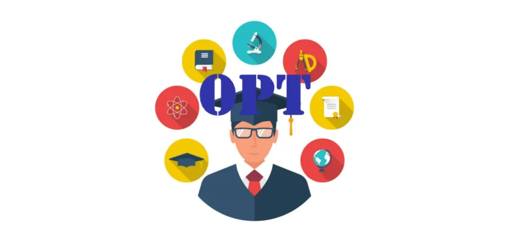 蔓藤教育OPT