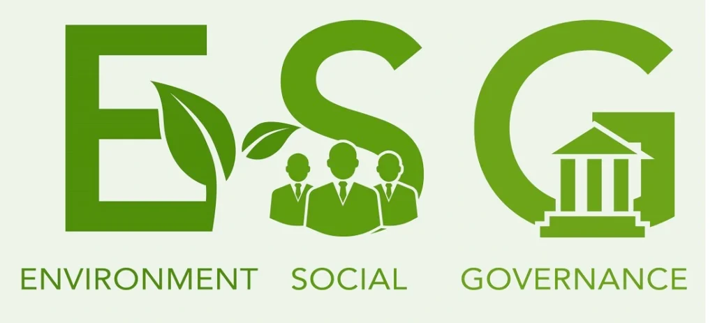 蔓藤教育环境求职esg